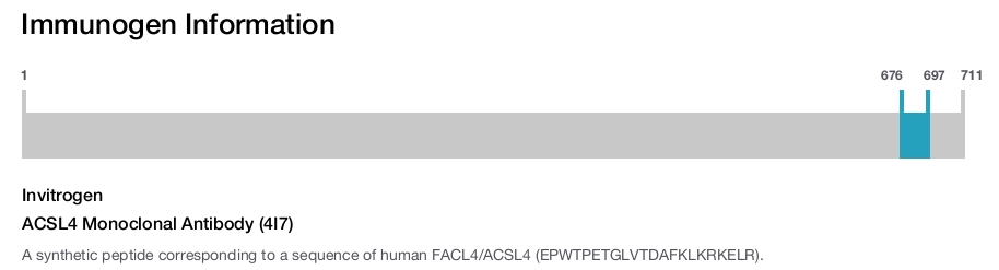 ACSL4 Monoclonal Antibody (4I7)