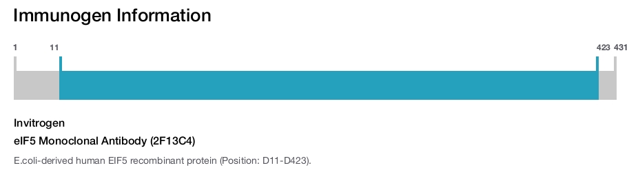 eIF5 Monoclonal Antibody (2F13C4)