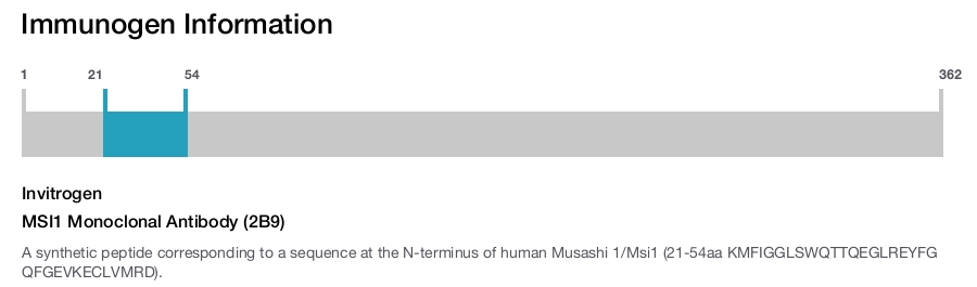 MSI1 Monoclonal Antibody (2B9)