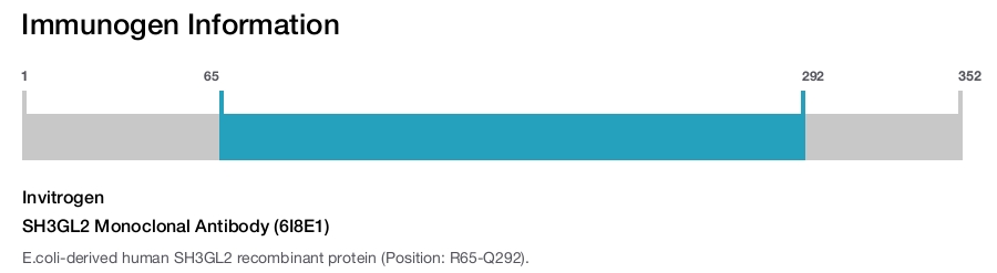 SH3GL2 Monoclonal Antibody (6I8E1)