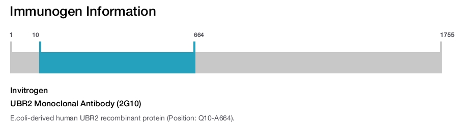 UBR2 Monoclonal Antibody (2G10)