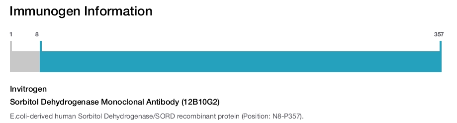 Sorbitol Dehydrogenase Monoclonal Antibody (12B10G2)