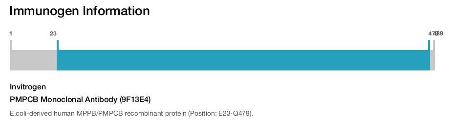 PMPCB Monoclonal Antibody (9F13E4)