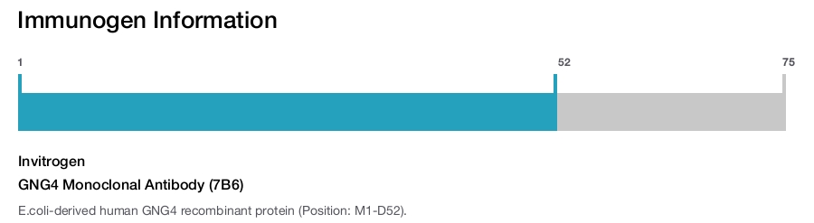 GNG4 Monoclonal Antibody (7B6)