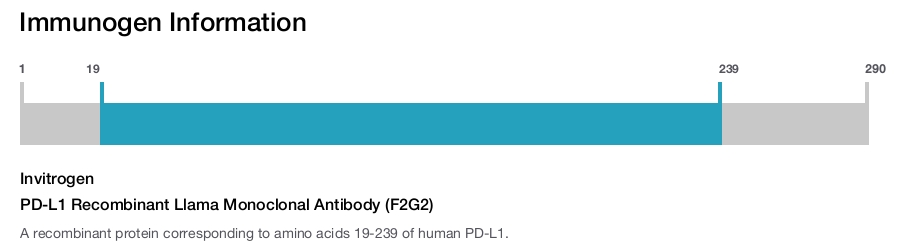 PD-L1 Recombinant Llama Monoclonal Antibody (F2G2)
