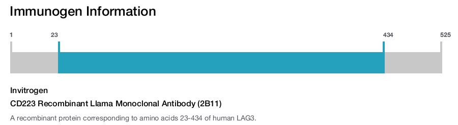 CD223 Recombinant Llama Monoclonal Antibody (2B11)