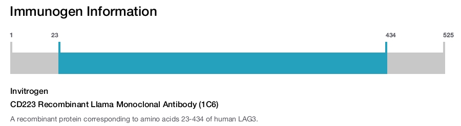CD223 Recombinant Llama Monoclonal Antibody (1C6)
