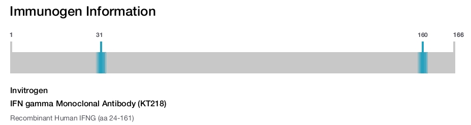 IFN gamma Monoclonal Antibody (KT218)