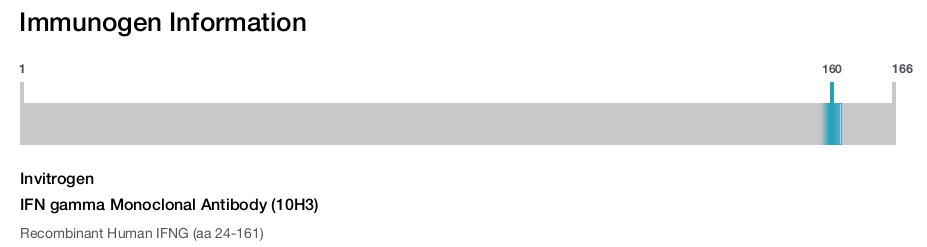 IFN gamma Monoclonal Antibody (10H3)
