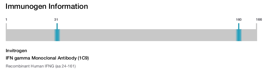 IFN gamma Monoclonal Antibody (1C9)