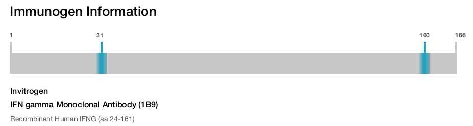 IFN gamma Monoclonal Antibody (1B9)