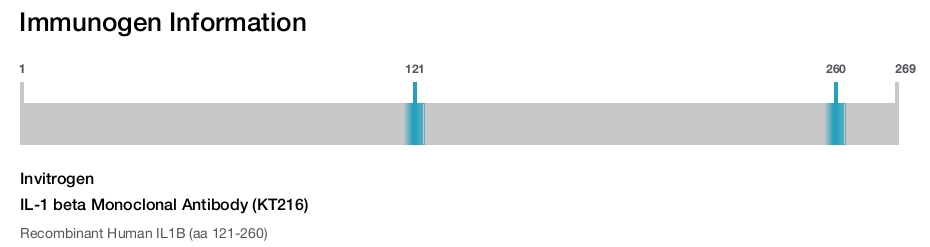 IL-1 beta Monoclonal Antibody (KT216)