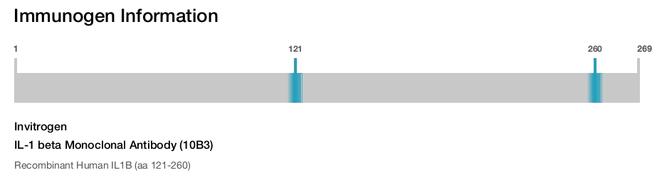 IL-1 beta Monoclonal Antibody (10B3)