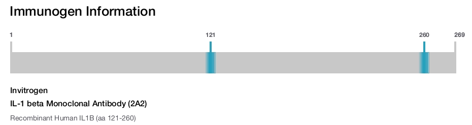IL-1 beta Monoclonal Antibody (2A2)