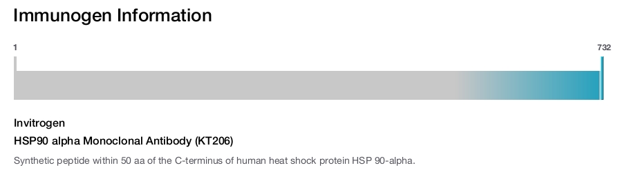 HSP90 alpha Monoclonal Antibody (KT206)
