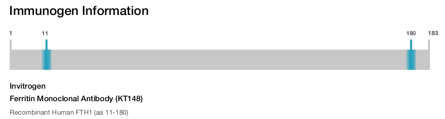 Ferritin Monoclonal Antibody (KT148)