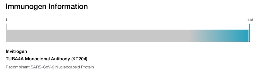 TUBA4A Monoclonal Antibody (KT204)