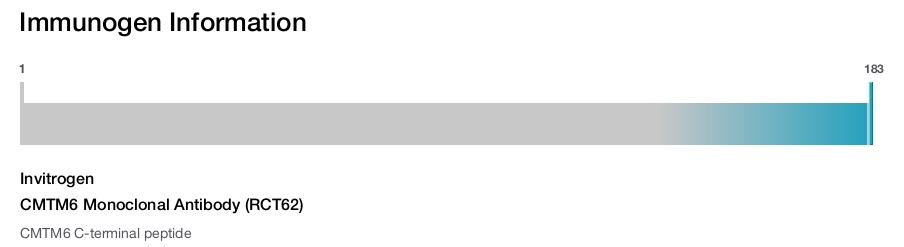 CMTM6 Monoclonal Antibody (RCT62)