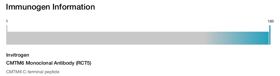 CMTM6 Monoclonal Antibody (RCT5)