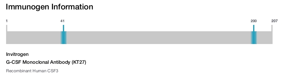 G-CSF Monoclonal Antibody (KT27)