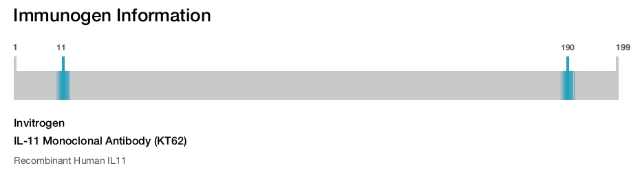 IL-11 Monoclonal Antibody (KT62)