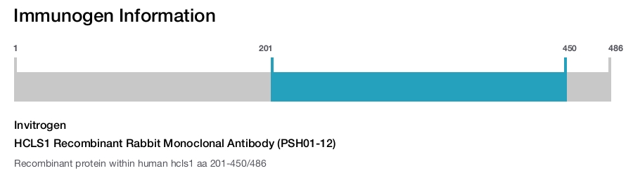 HCLS1 Recombinant Rabbit Monoclonal Antibody (PSH01-12)