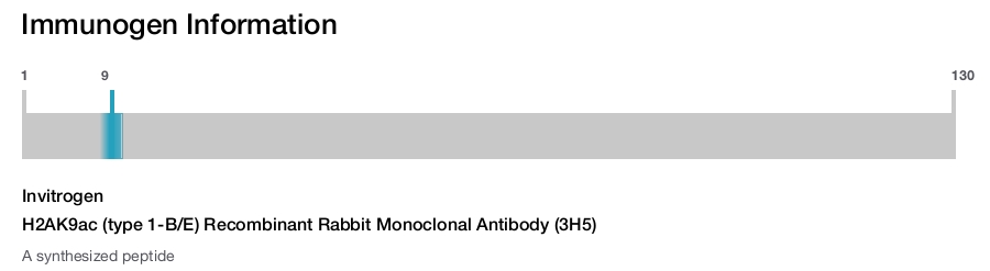 H2AK9ac (type 1-B/E) Recombinant Rabbit Monoclonal Antibody (3H5)