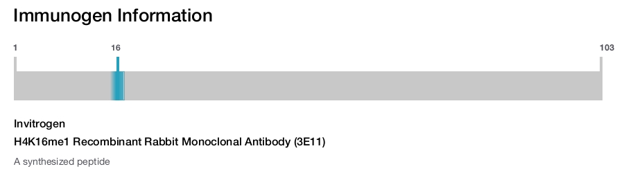 H4K16me1 Recombinant Rabbit Monoclonal Antibody (3E11)