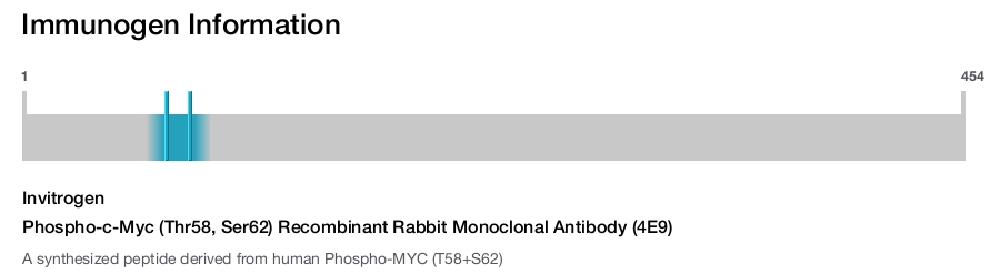 Phospho-c-Myc (Thr58, Ser62) Recombinant Rabbit Monoclonal Antibody (4E9)