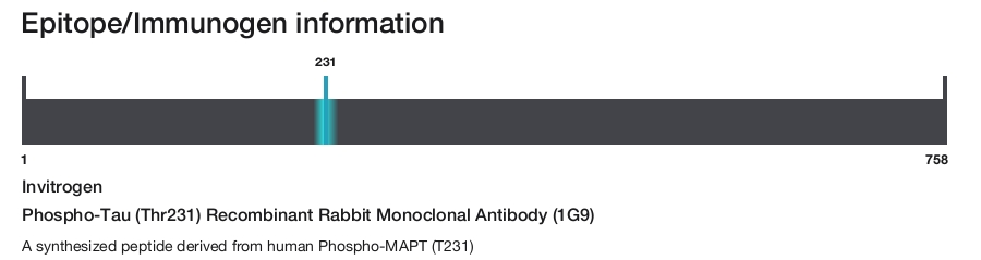 Phospho-Tau (Thr231) Recombinant Rabbit Monoclonal Antibody (1G9)