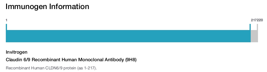 Claudin 6/9 Recombinant Human Monoclonal Antibody (9H8)