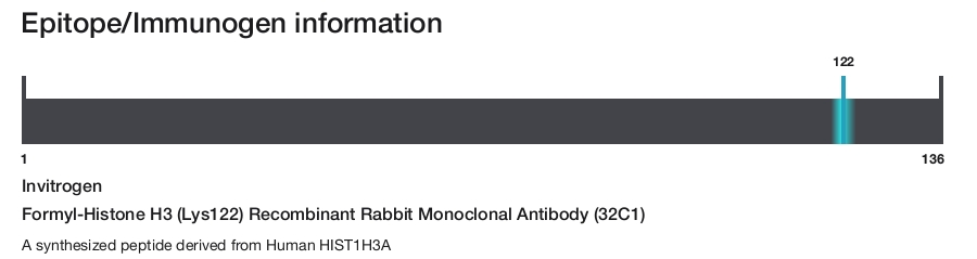 Formyl-Histone H3 (Lys122) Recombinant Rabbit Monoclonal Antibody (32C1)