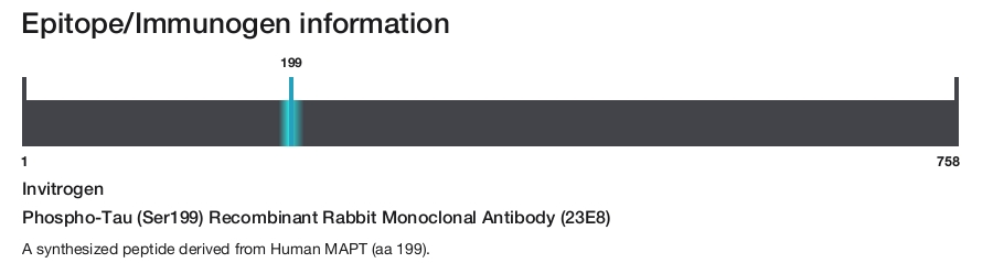Phospho-Tau (Ser199) Recombinant Rabbit Monoclonal Antibody (23E8)