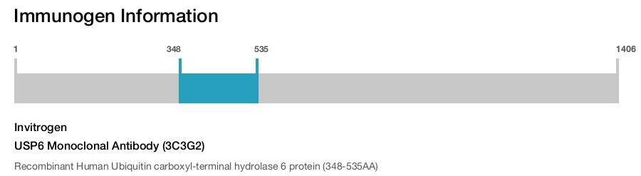 USP6 Monoclonal Antibody (3C3G2)