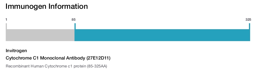 Cytochrome C1 Monoclonal Antibody (27E12D11)