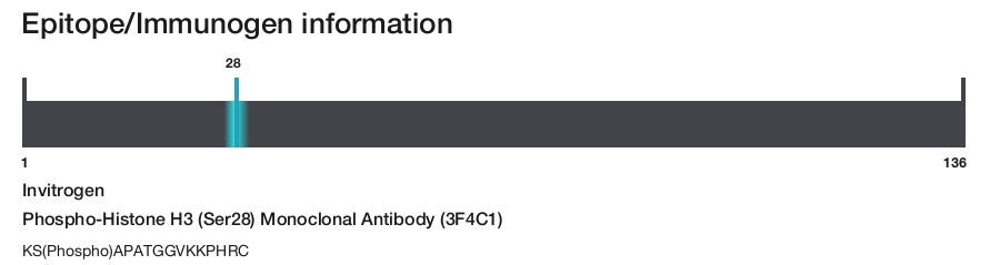 Phospho-Histone H3 (Ser28) Monoclonal Antibody (3F4C1)
