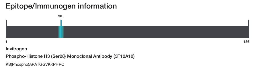 Phospho-Histone H3 (Ser28) Monoclonal Antibody (3F12A10)