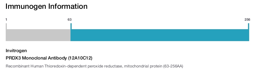 PRDX3 Monoclonal Antibody (12A10C12)
