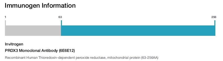 PRDX3 Monoclonal Antibody (6E6E12)