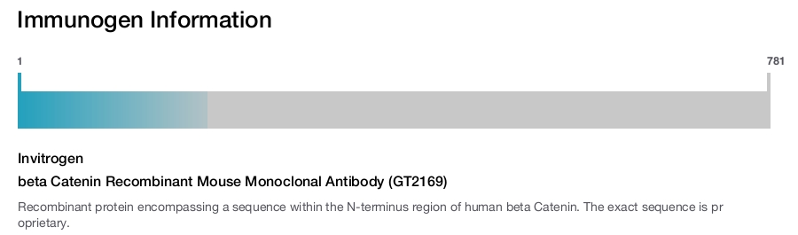 beta Catenin Recombinant Mouse Monoclonal Antibody (GT2169)