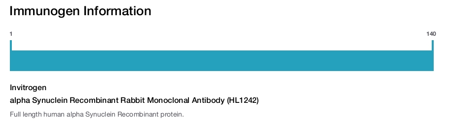 alpha Synuclein Recombinant Rabbit Monoclonal Antibody (HL1242)