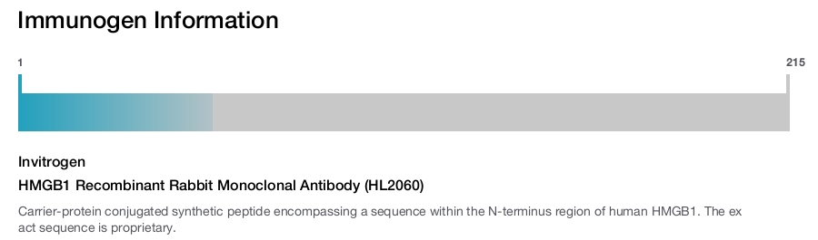 HMGB1 Recombinant Rabbit Monoclonal Antibody (HL2060)