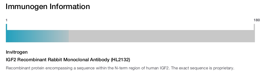 IGF2 Recombinant Rabbit Monoclonal Antibody (HL2132)