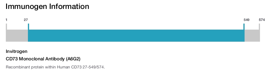 CD73 Monoclonal Antibody (A6G2)