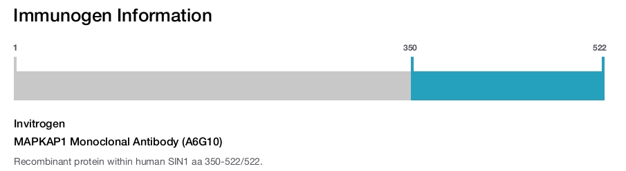MAPKAP1 Monoclonal Antibody (A6G10)