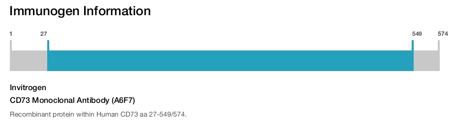CD73 Monoclonal Antibody (A6F7)