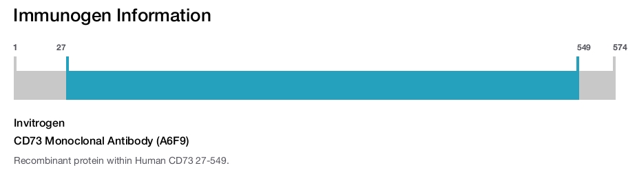 CD73 Monoclonal Antibody (A6F9)