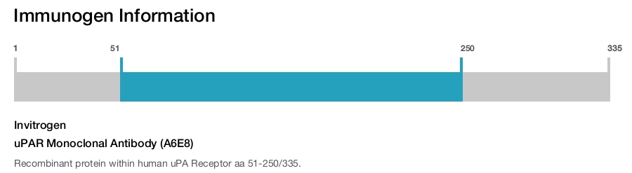 uPAR Monoclonal Antibody (A6E8)
