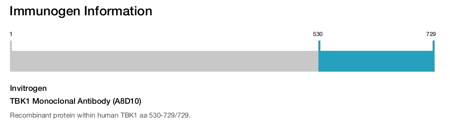 TBK1 Monoclonal Antibody (A8D10)