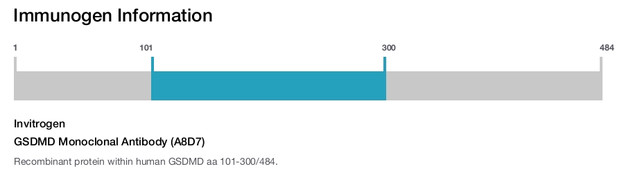 GSDMD Monoclonal Antibody (A8D7)